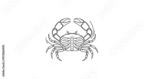 Line Art Crab Illustration - Marine Life Icon