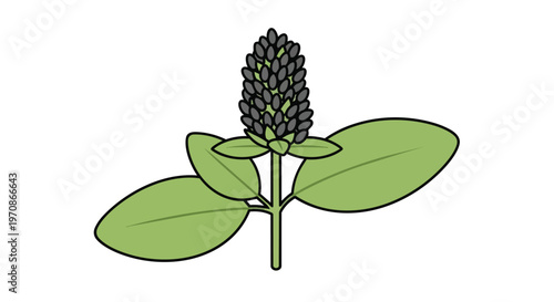 Minimalist Vector Illustration of a Medicinal Herb with Green Leaves and Dark Flower Spike