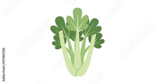 Fresh Celery Vegetable Illustration on White Background