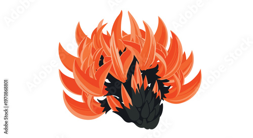 Vibrant Orange Palash Flower Illustration Isolated on White Background