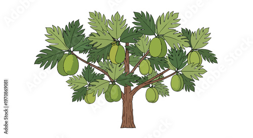 Illustration of a Fig Tree with Ripe Green Fruits