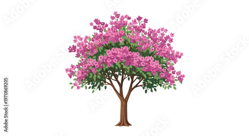 Beautiful Blooming Tabebuia Rosea Tree Illustration