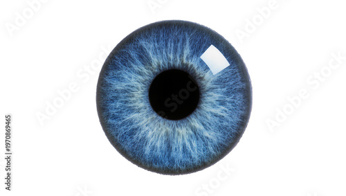 Canvas Print Detailed blue iris displaying radial texture, featuring a central black pupil