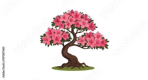Beautiful Pink Azalea Bonsai Tree Illustration