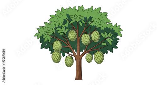 Illustration of a Custard Apple Tree with Ripe Fruits