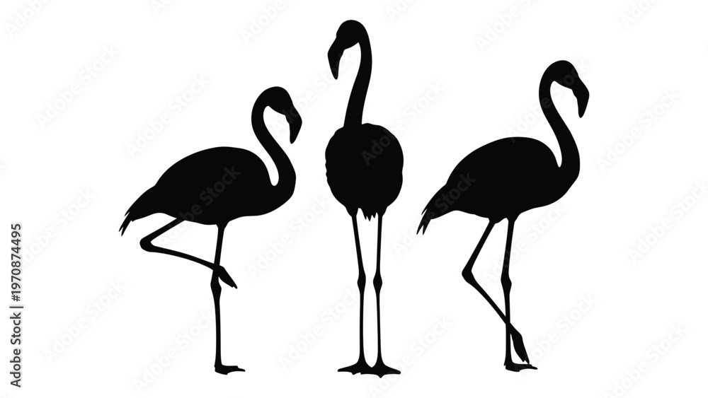 Fototapeta premium Silhouette illustration of three flamingos standing in a minimalist style