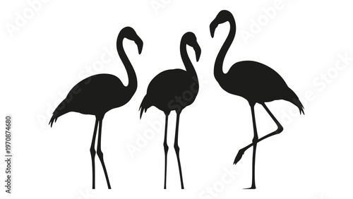 Three elegant flamingo silhouettes stand closely together on slender legs