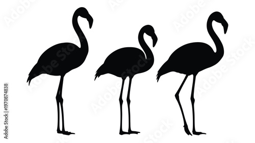 Three elegant flamingo silhouettes stand in a minimalist black and white composition