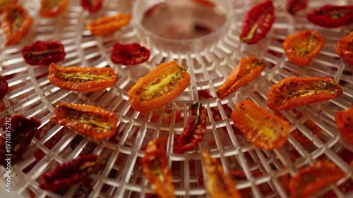 Bright red and yellow cherry tomatoes are arranged in a dehydrator, drying under warm air. This healthy method preserves their flavor, perfect for summer snacks.