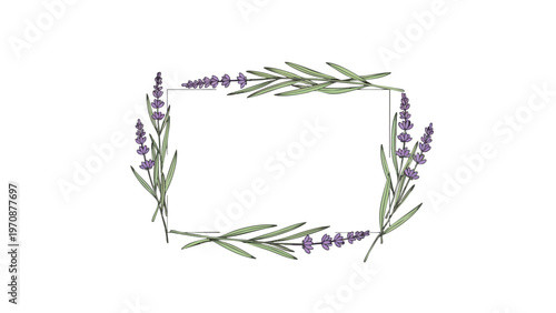 Elegant Hand-Drawn Lavender Sprig Frame Illustration with Purple Flowers and Green Leaves on White Background, Botanical Rectangle Border Design