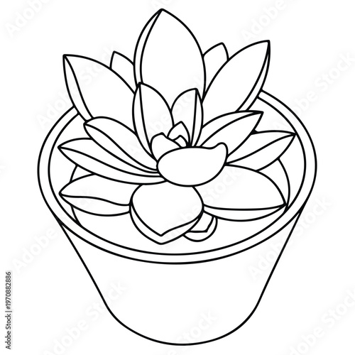 Succulent Potted Plant Vector Illustration, Hand Drawn Echeveria Line Art Sketch, Minimalist Botanical Houseplant Drawing, Black and White Organic Nature Element, Outline Illustration for Home Decor