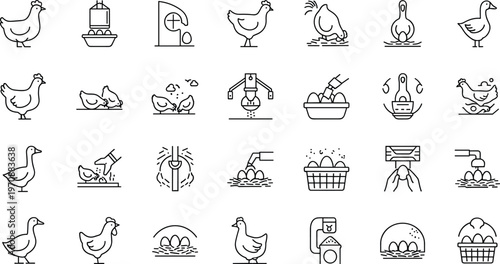 Comprehensive monoline poultry farming icon set featuring egg collection feeding systems duck breeding and industrial livestock management for agricultural business and equipment manuals.