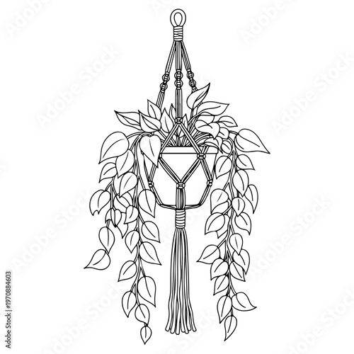 Macrame Hanging Plant Vector Illustration, Hand Drawn Line Art of Potted Ivy in Woven Hanger, BoHo Botanical Sketch, Black and White Indoor Houseplant Outline Drawing for Interior Decor and Coloring