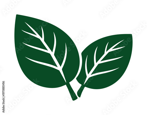 Two vibrant green leaves, a fresh organic plant icon, natural foliage symbol, eco-friendly vector graphic for sustainable branding and healthy lifestyle designs