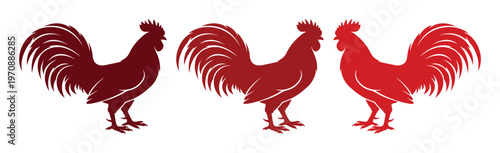 Three stylized red rooster vector silhouettes, vibrant farm animal graphic, dynamic poultry illustration set, perfect for branding and logo design