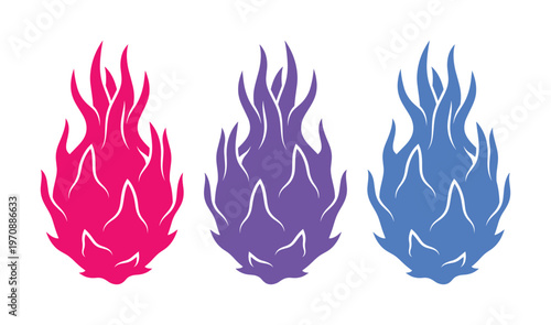 Vibrant dragon fruit vector set, three colorful pitaya illustrations, exotic tropical fruit design elements, healthy food and beverage branding assets