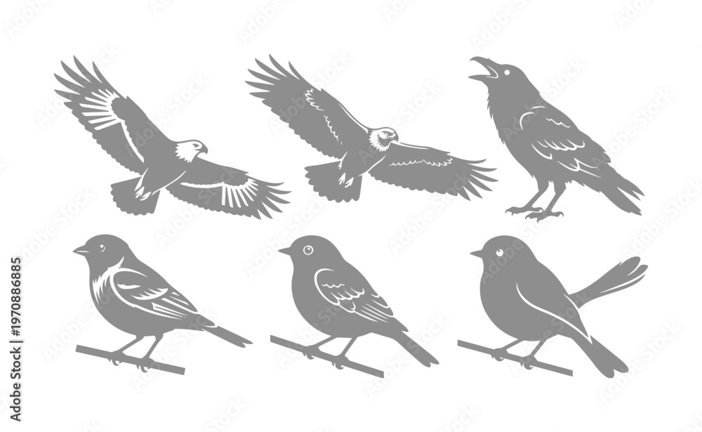 Obraz premium Monochromatic bird vector set, a collection of 6 detailed avian illustrations, including flying eagles and perching songbirds, ideal for nature-themed designs and wildlife branding.