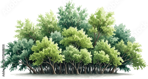 Watercolor green bushes and lush garden shrubs vector, dense forest foliage and summer hedge greenery, botanical landscape elements for architectural site plan design isolated PNG with