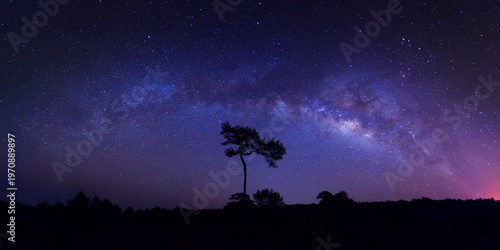 Silhouette of tree with cloud and night sky space background, Starry universe in dark blue sky, Milky way galaxy with stardust field in deep universe