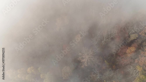 Aerial drone footage of reverse flight over foggy autumnal forest