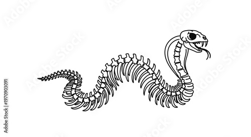 Snake Skeleton Illustration: Cobra Bones, Scary Halloween, Spooky Reptile Art