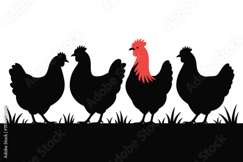 Rooster Standing Among Chickens Leadership Concept