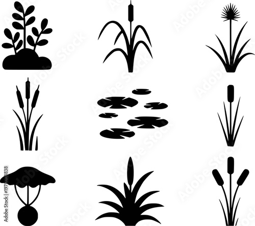 Collection of black silhouette representing aquatic plants and reeds a white background