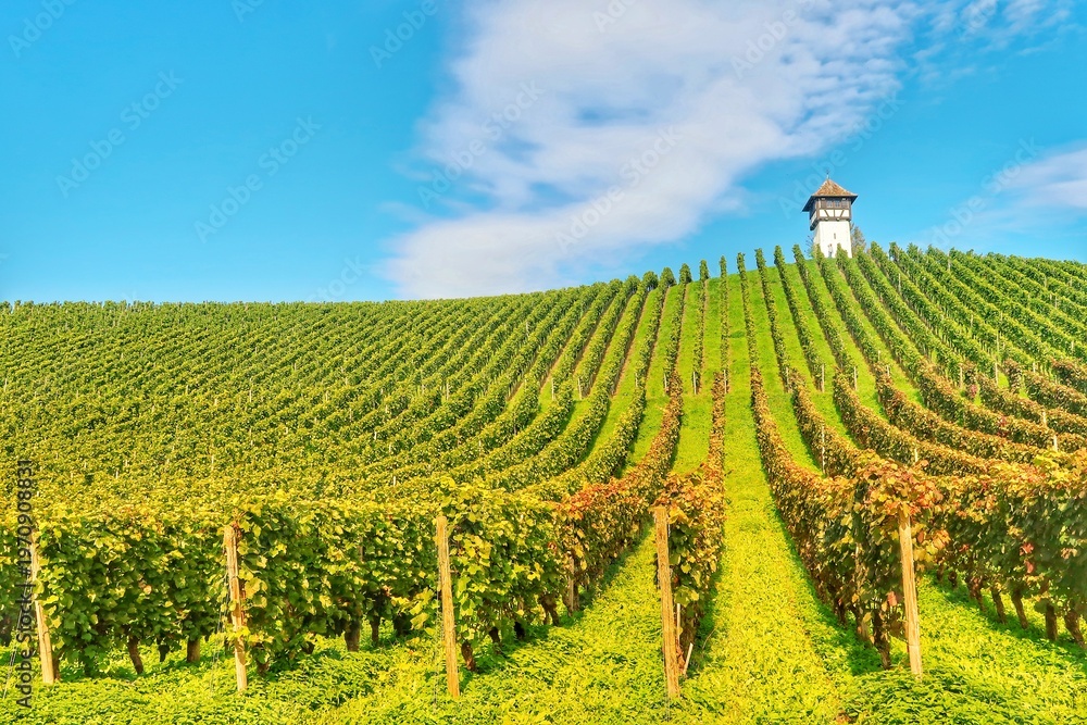 Obraz premium Meersburg is located in the Germany in the East part of Lake Constance.