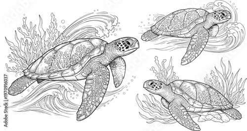Detailed monochrome sea turtle vector illustration set with ocean waves and coral reef elements for marine conservation and nature design.