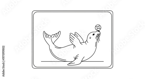 Seal Balancing Ball on Nose