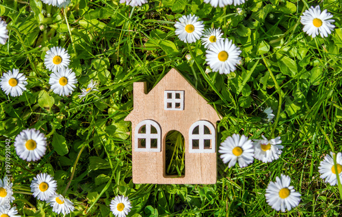 The symbol of the house stands among white daisies
