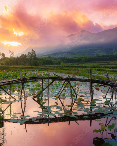 Dreamy Vietnam Sunrise Over Lotus Pond and Misty Mountains