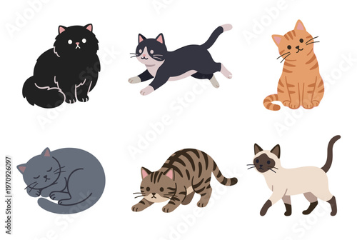 Various Cat Breeds and Activities Illustration Set, Fluffy, Tabby, Siamese and Shorthair Cats Playing, Sleeping and Walking