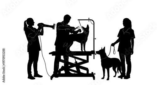 People groom dog on elevated table with tools and leash