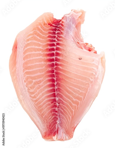Fresh Tilapia Fillet - A Close-Up of Raw Fish Meat.