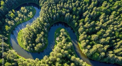aerial view of winding river through lush green forest
