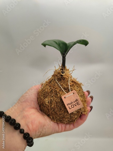Handmade Kokedama with Love Tag, Minimalist Plant Gift Background, Eco-friendly Wallpaper