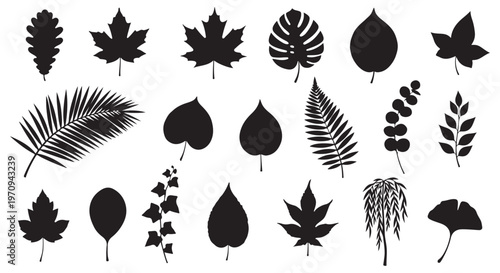 Diverse collection of black leaf silhouettes representing various plant species as a vector illustration graphic design.