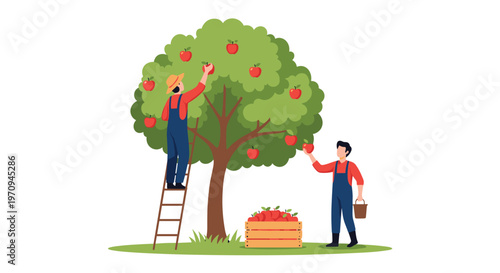 Two farmers in overalls working together to pick ripe red apples from a large leafy tree and filling a wooden crate on the grass.