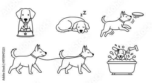 Dogs Daily Activities Vector Icons with Eating Sleeping Playing and Walking Scenes