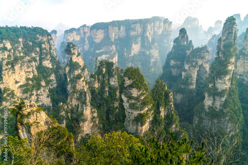 Zhangjiajie National Forest Park. Mountains with many trees and some rocks. Avatar Mountains in Zhangjiajie, Wulingyuan, Hunan Province, China. A natural landmark and popular tourist destination. 