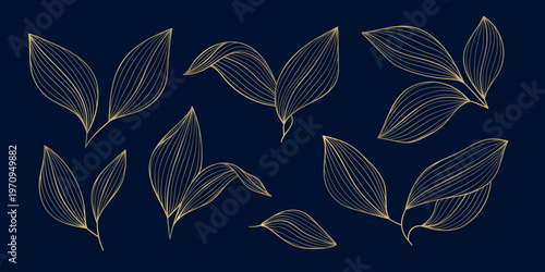 Luxury gold leaves isolated, elegant line art foliage on a dark background. Vector illustration, Japanese ornament, tropical and autumn botanical elements, premium logos for spa, nature products.