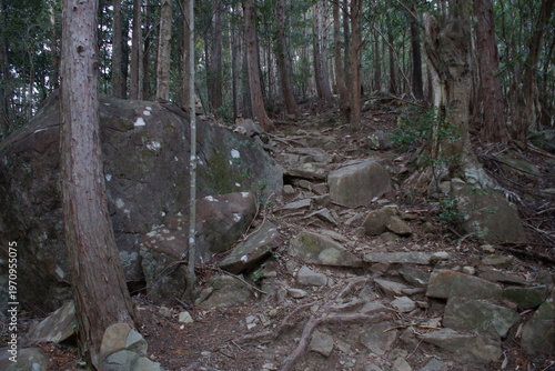 熊野古道中辺路の風景　発心門王子跡ー滝尻王子跡