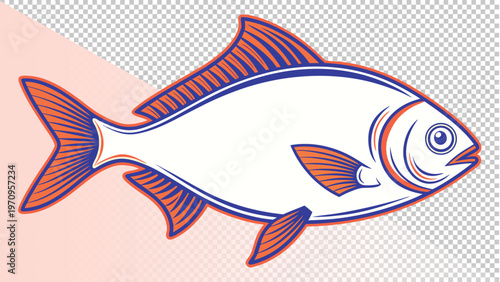 Stylized illustration of a common carp or similar freshwater fish with orange and blue markings with marine life with white background with fish icon with fish drawing