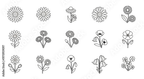 Collection of black and white line drawings of various flowers and blooms on white background