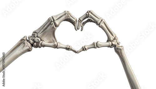 A medical illustration presents a pair of skeletal hands forming a heart shape, set against a pristine white background. The bones show intricate anatomical detail