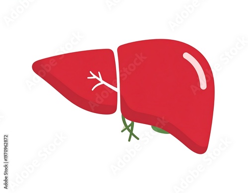 A medical illustration of the human liver, presented in a simplified, cartoon style with reddish-brown hues. The organ is depicted from a lateral perspective