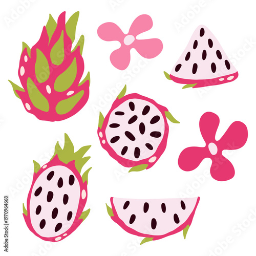 Vector dragon fruit on a light background. Exotic fruit, Pitahaya, set, piece, element