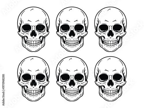A set of six skulls with different facial expressions