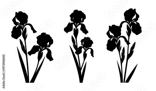 Floral iris silhouettes flat vector illustration isolated